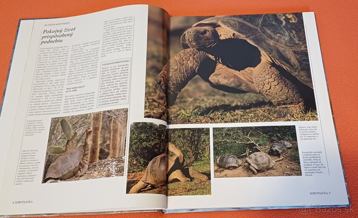 Morský breh-prírodovedná publikácia,Larousse, 100% - 6