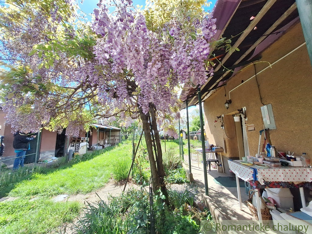 Ihneď obývateľný rodinný dom na rozľahlom pozemku na okraj - 6