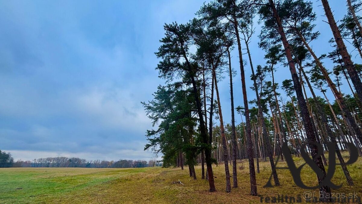 NA PREDAJ ROZĽAHLÝ POZEMOK, 246621 M2, LAKŠÁRSKA NOVÁ VES, o - 6