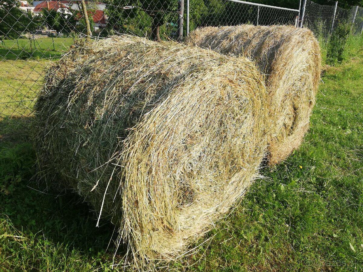 Horské lúčne seno, luceren. - 6