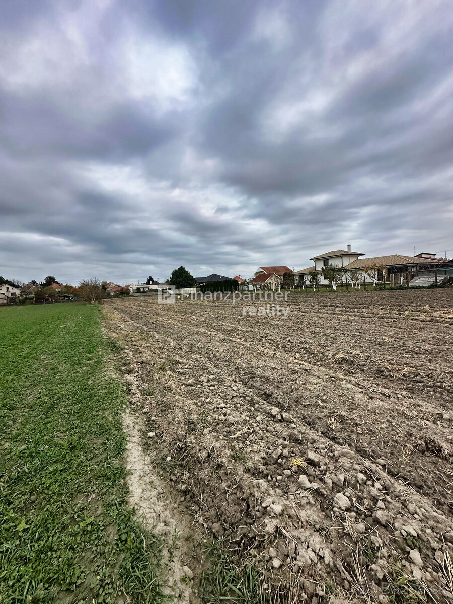 Stavebný pozemok 4702 m² v obci Trstice, Galanta - 6