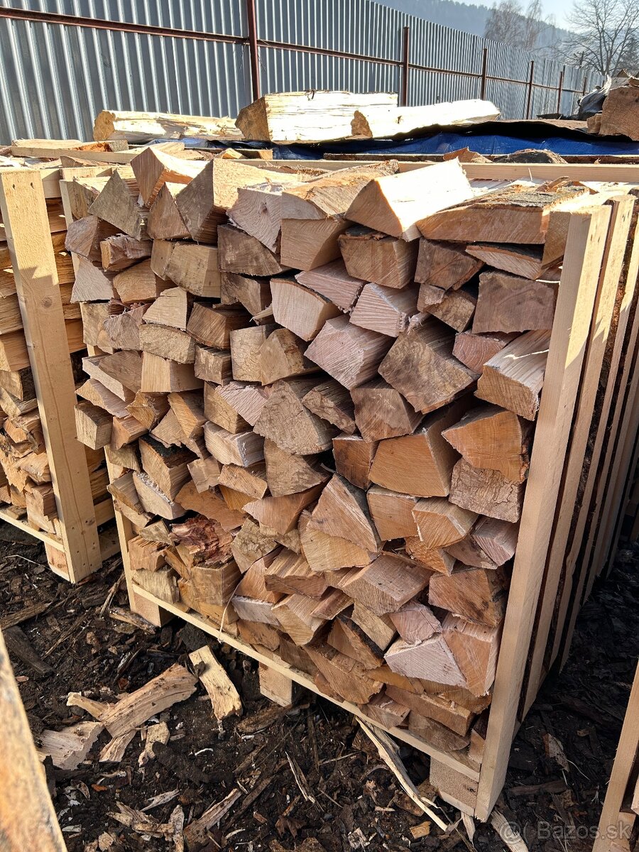 PALIVOVÉ DREVO - 6