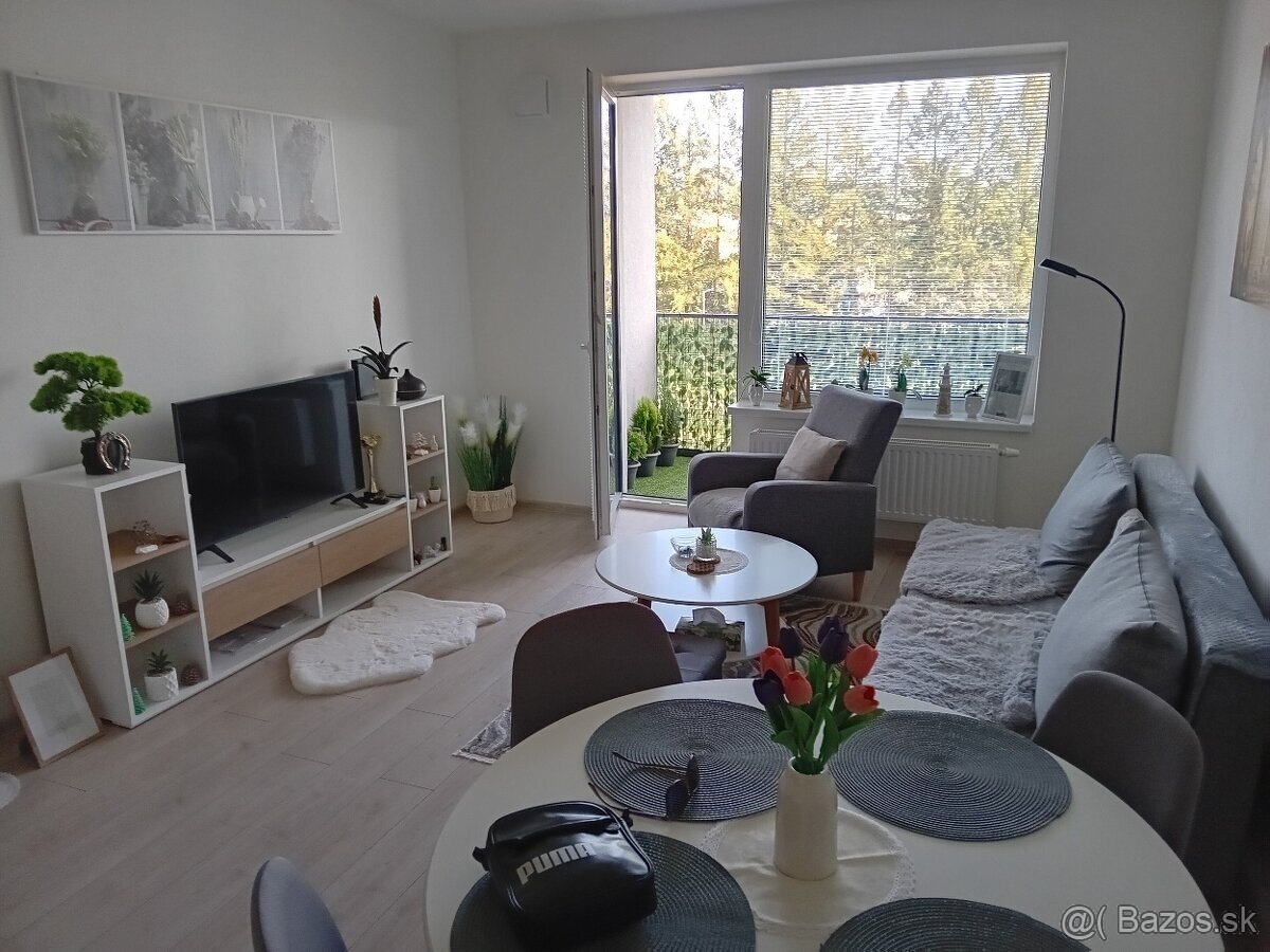 Prenájom 2-izbového bytu v novostavbe - Štvrť Kasárne, BR - 6