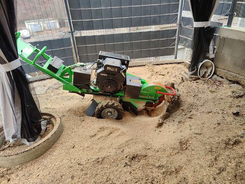 Frézovanie pňov, odstraňovanie,likvidácia - 6