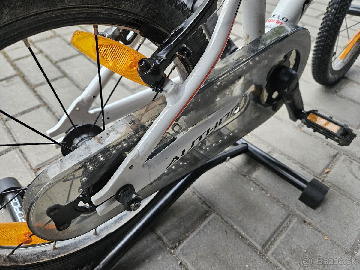 Author record 16" - 6