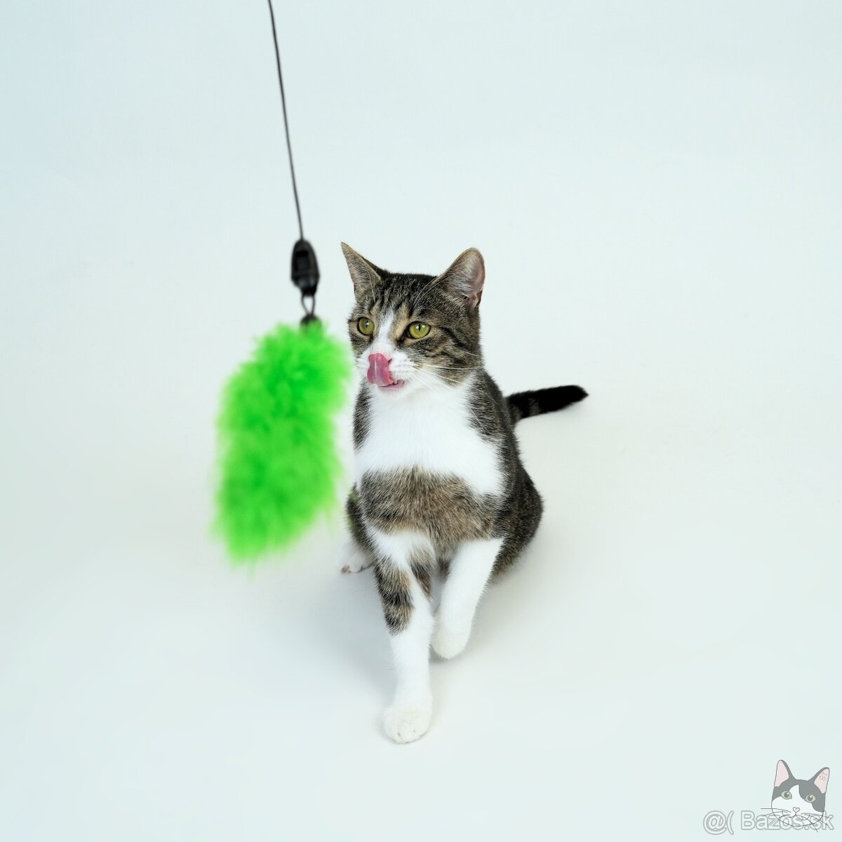 Citlivá mačička SASHKA hľadá domov - 6