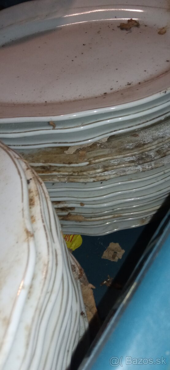 Predám biele taniere vhodné do reštaurácií ok.24cm - 6