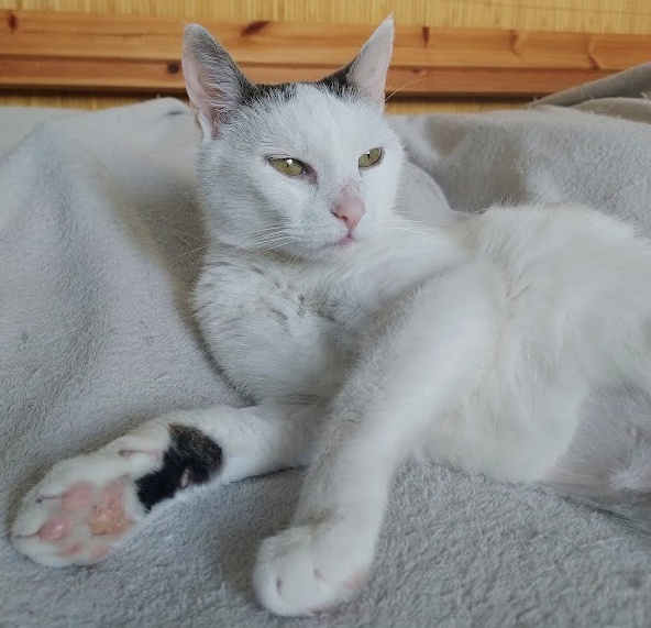 stelesnenie pokoja - 6