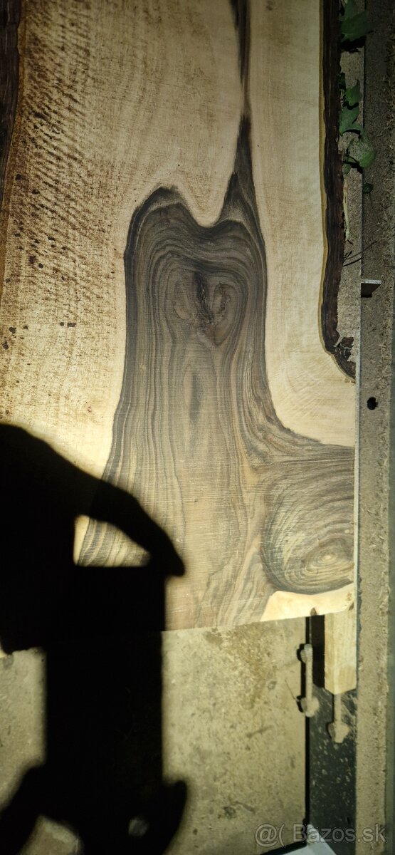 Orechový kmeň 2,3m / 50cm - 6