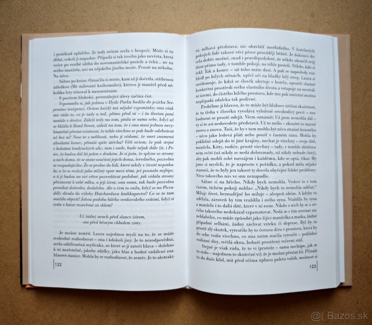 Michael Cunningham: HODINY - 6