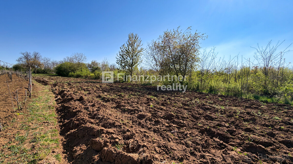 Záhrada 2190 m², Čechynce, Nitra - 6