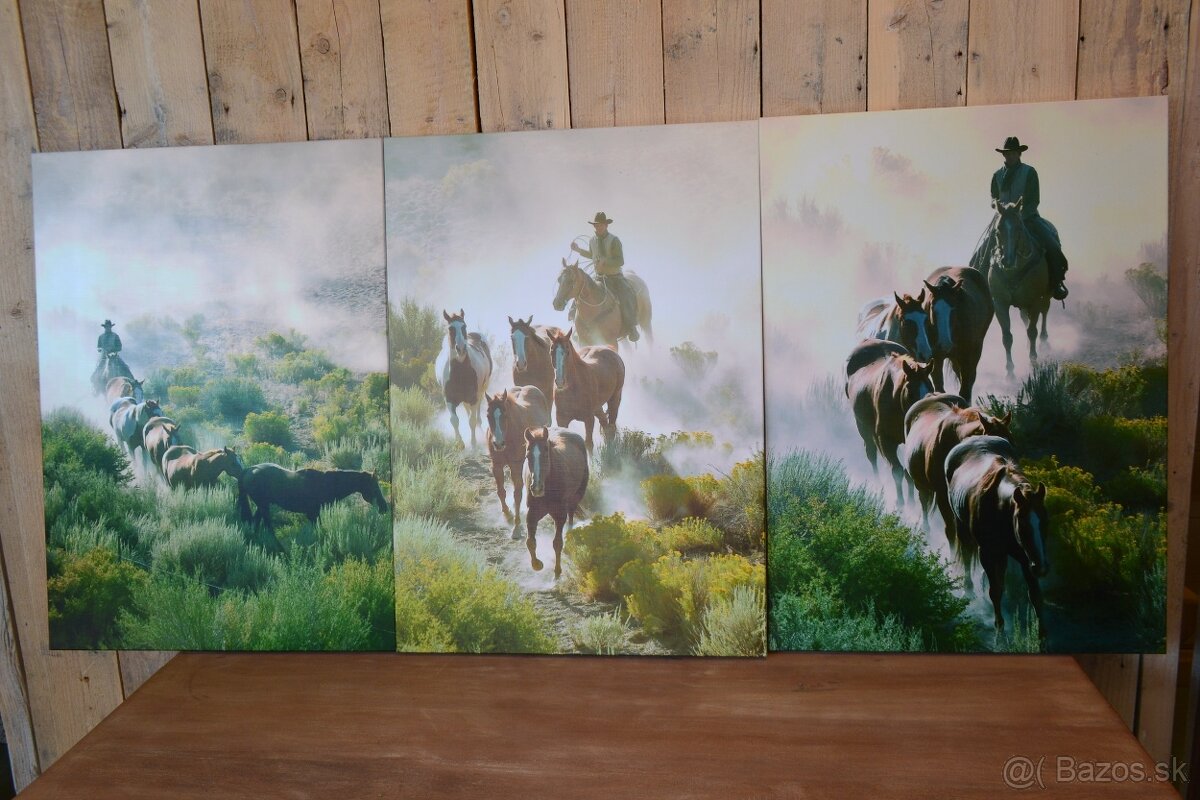 dekoracne obrazy - 6