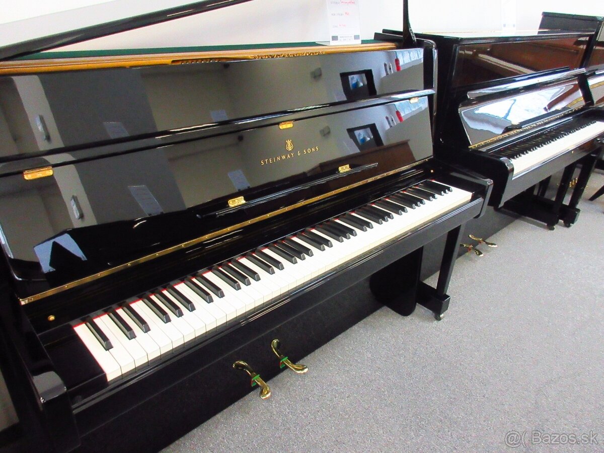luxusný Steinway and Sons pre solventných - 6