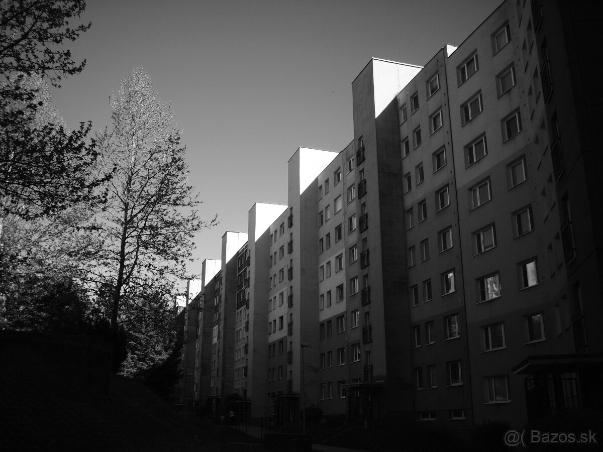 Olympus E-PL1 - 6
