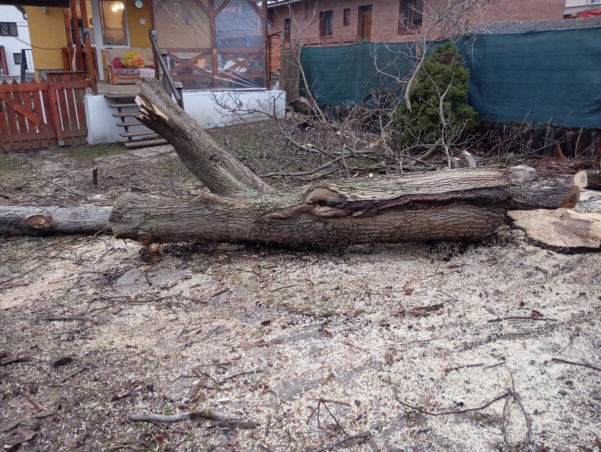 Predám orechové drevo - 6