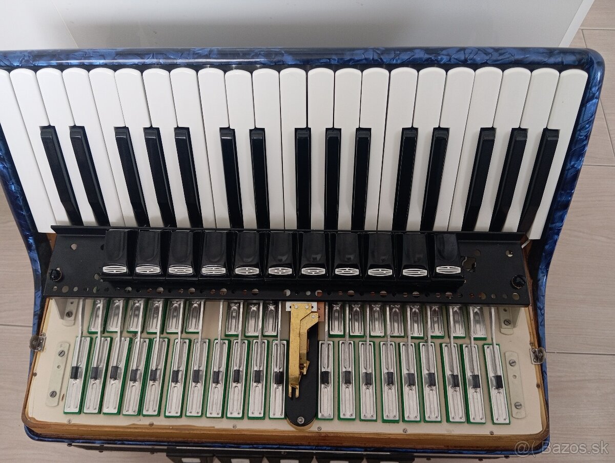 Akordeon delicia - 6