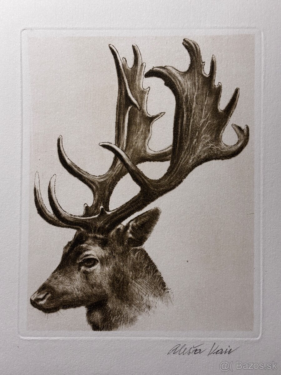 Aleš Vaic - lovecka tematika - 6