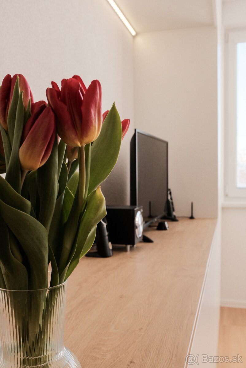 Zrekonštruovaná garsónka na prenájom, voľná od 10.1.2026 - 6