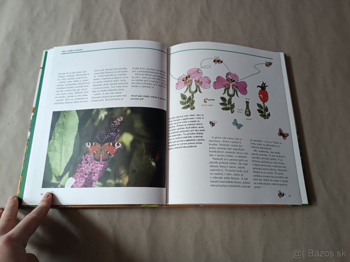 Malý záhradkár: Okno do prírody - 6