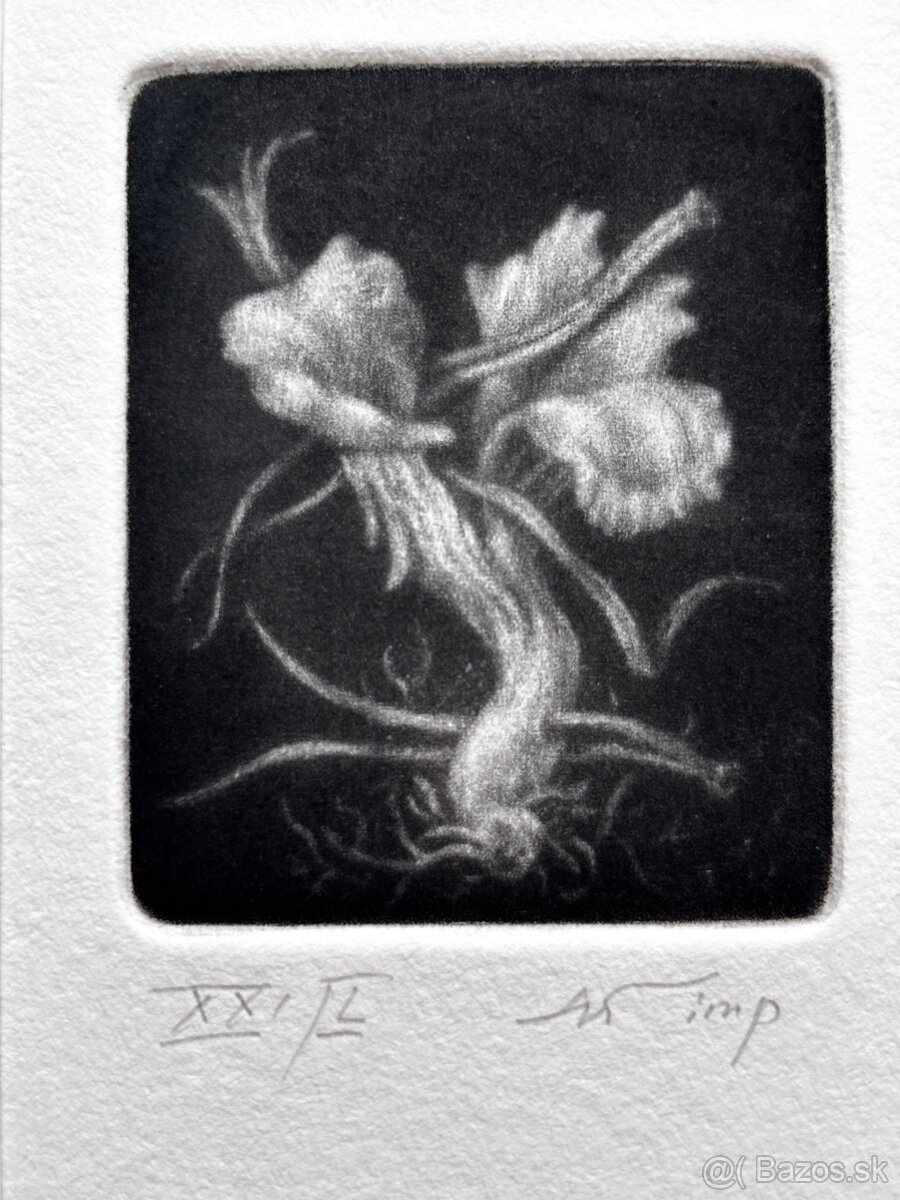 Konstantin Chmutin - 6