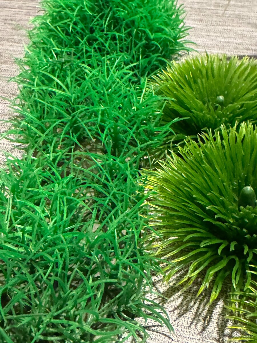 Dekoracie do akvaria 30€ - 6