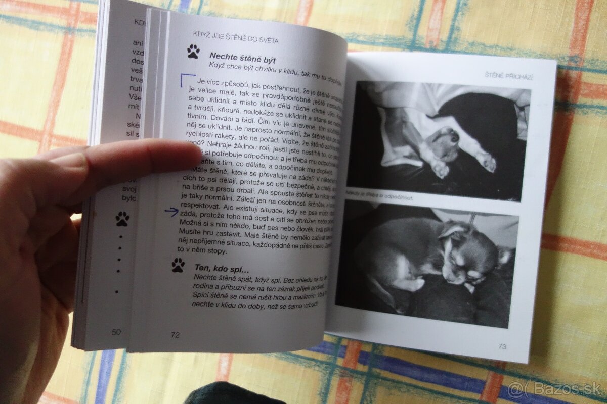 Když jde štěně do světa - 6