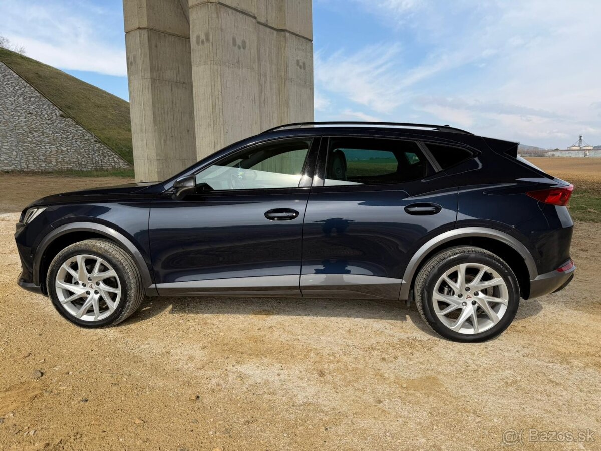 Cupra Formentor 2.0 TDI 4x4 DSG - 6