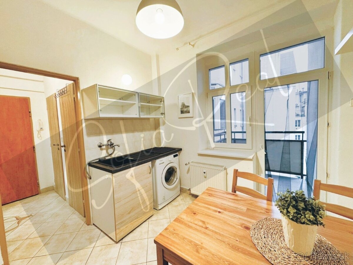 PRENÁJOM: 2-izbový byt; širšie centrum (Trnavské mýto) - 6