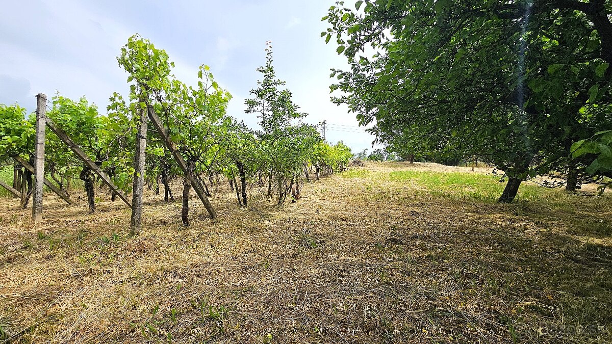 Predaj rodinný dom Nitra - Veľký Lapáš, pozemok 2780 m2 - 6