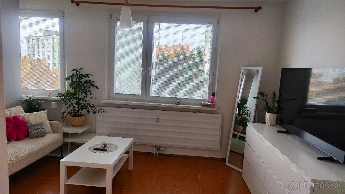 1izbový byt na prenájom - 6