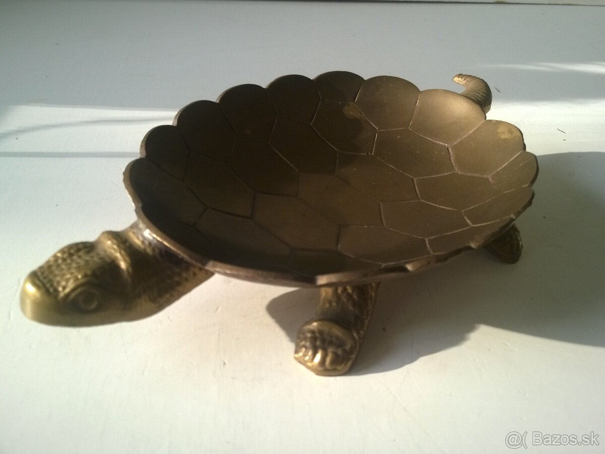 veľká mosadzná korytnačka - 6