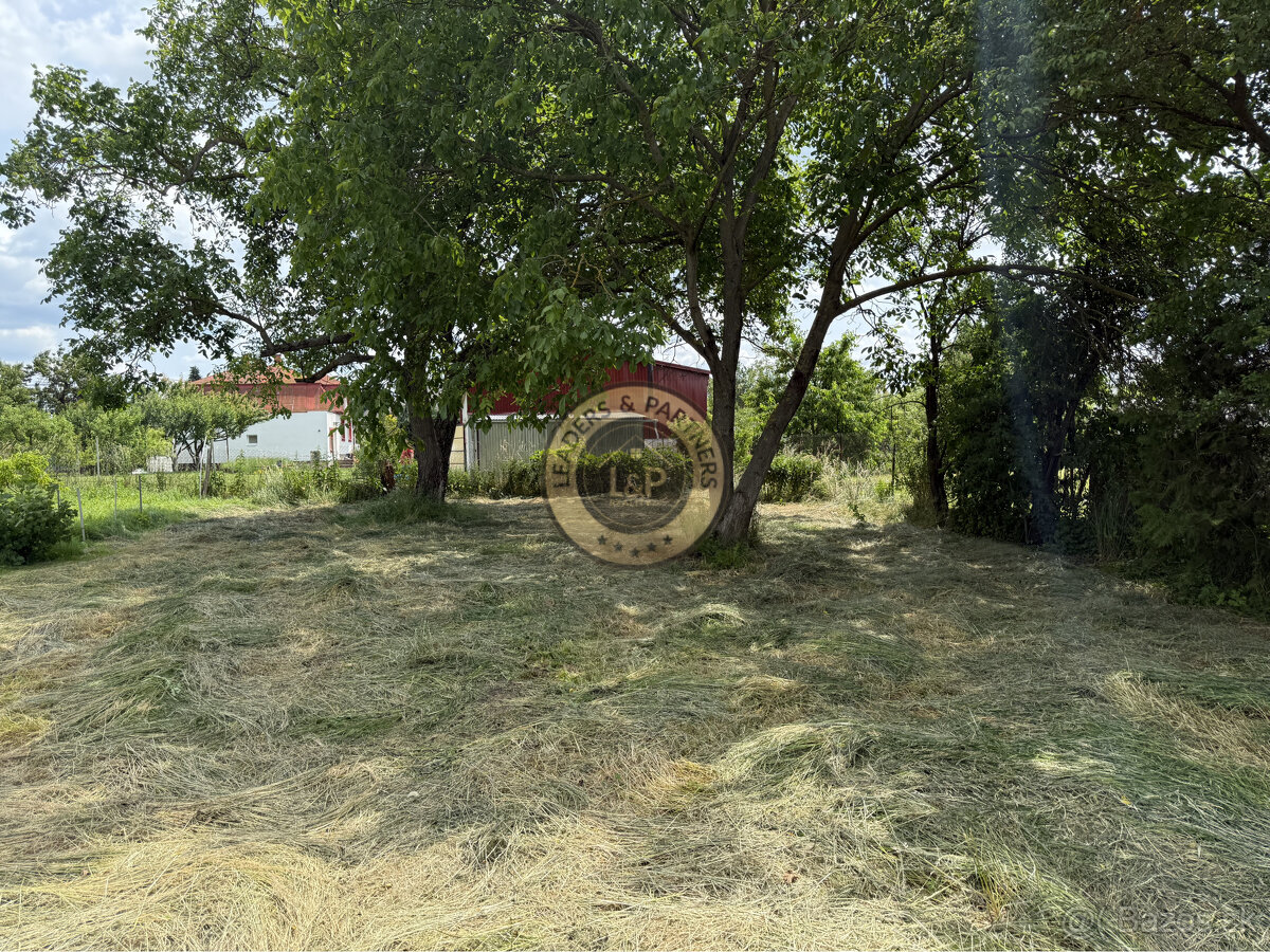 Pozemok na výstavbu, Košice - Okolie, Seňa, všetky IS - 6