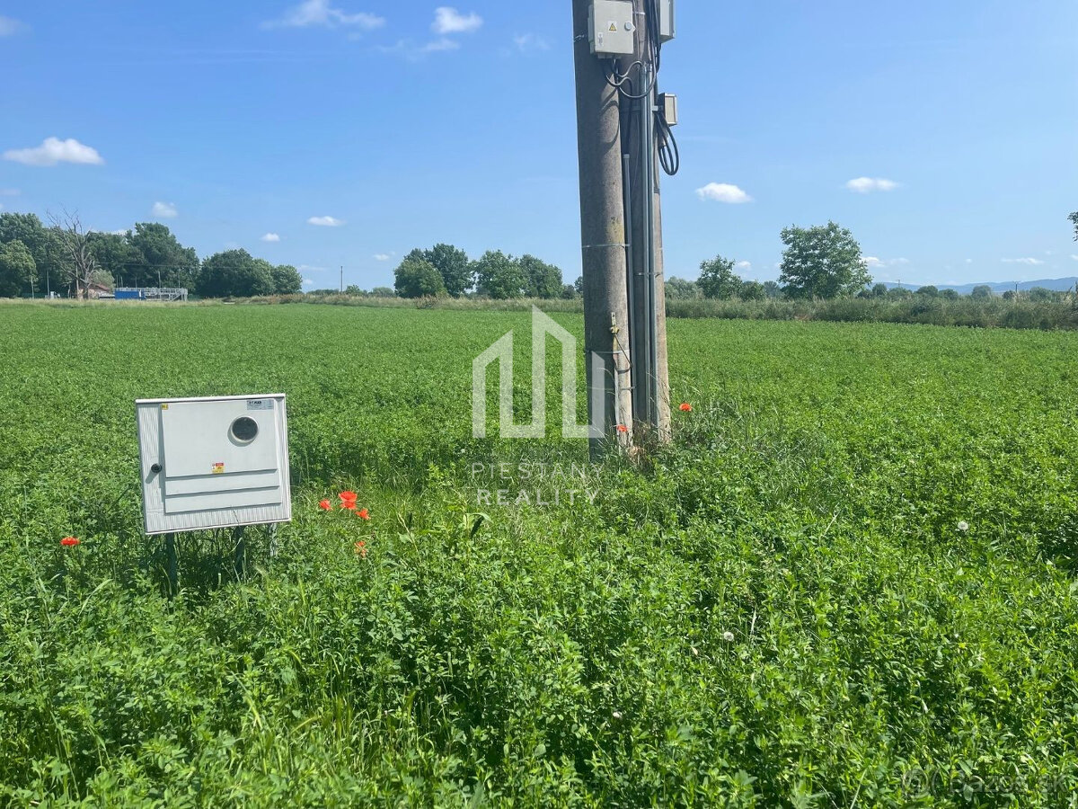 Stavebný pozemok 1000m2 na okraji obce, VESELÉ pri Piešťanoc - 6