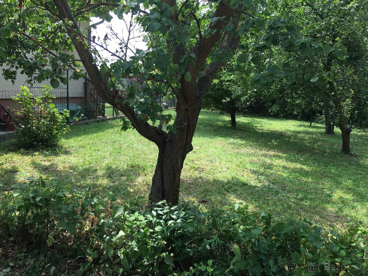 Predám záhradu – ideálna lokalita pri rybníku, Šaštín Stráže - 6