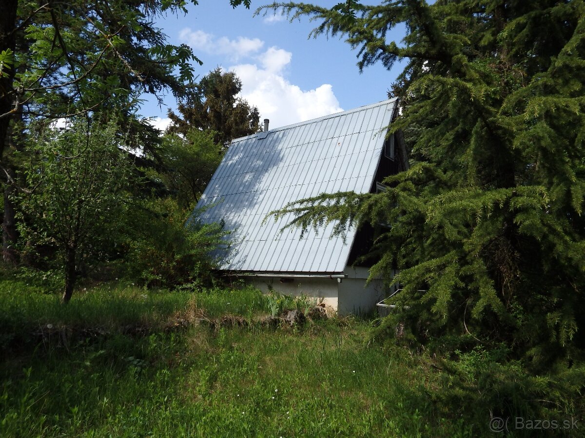 Záhrada nad Dubčekovou ulicou NMnV - 6