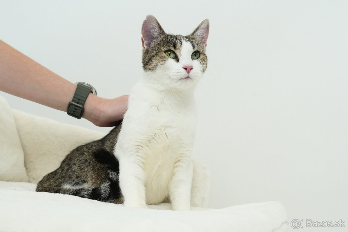 MRKVIČKA hľadá domov - 6