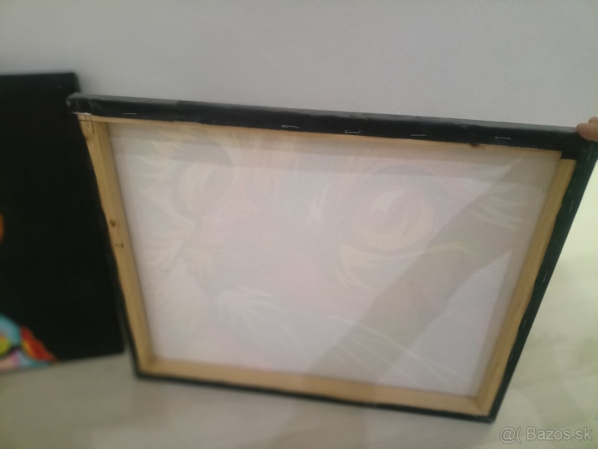 2 obrazy na stenu - 6