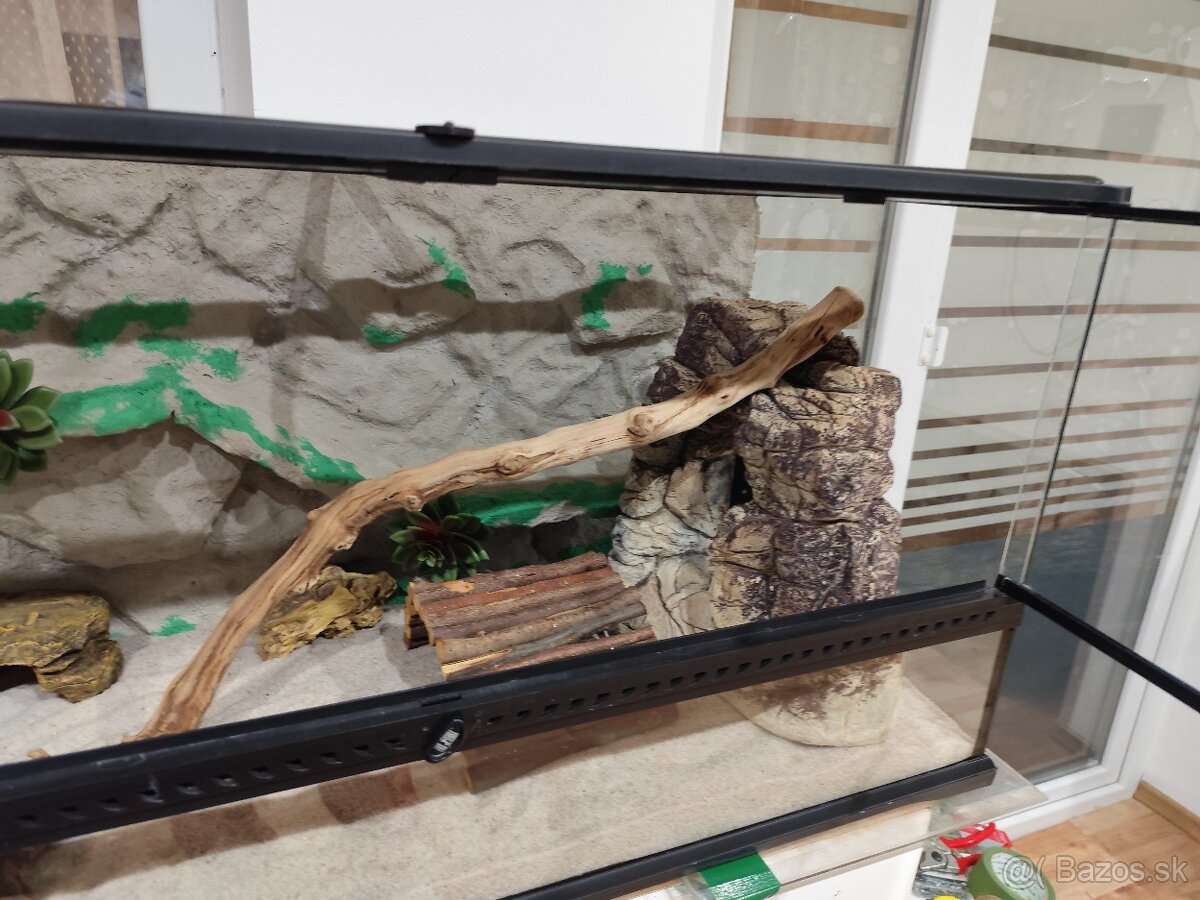 Agama bradatá s terariom Exo terra - 6