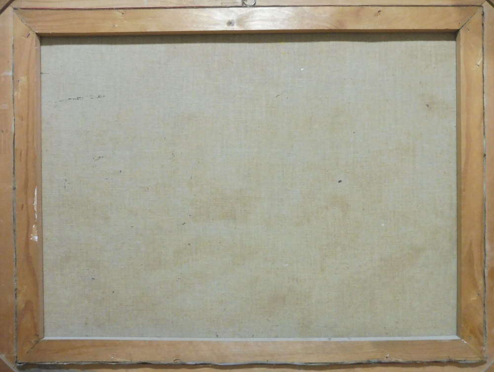 Rudolf Moško / Trenčiansky hrad - 6