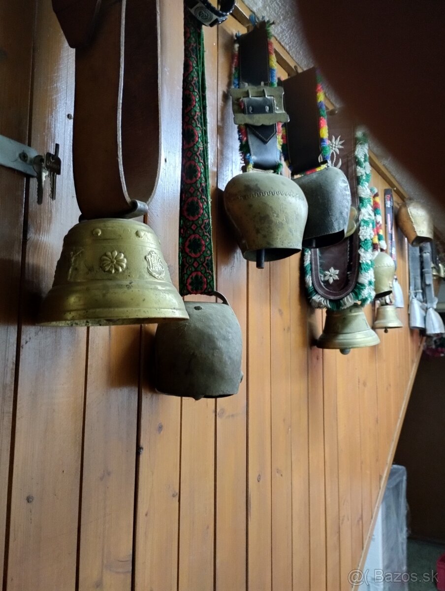 Zvonce - 6