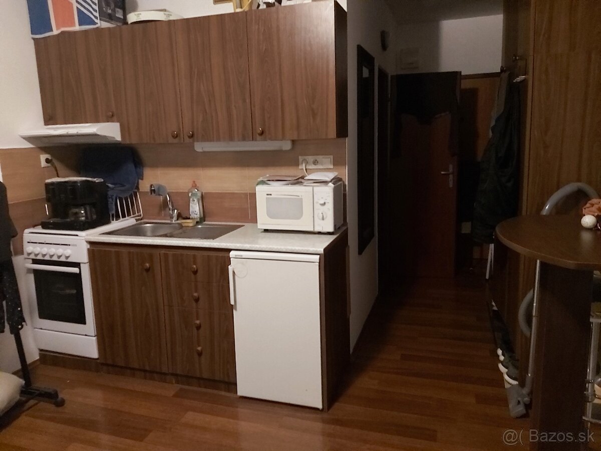 1-izbový byt, garzonka,garsonka, - 6