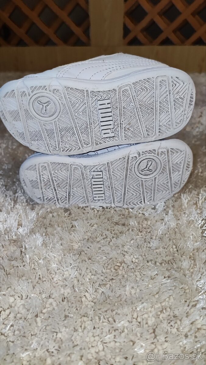 Puma č.24 - 6