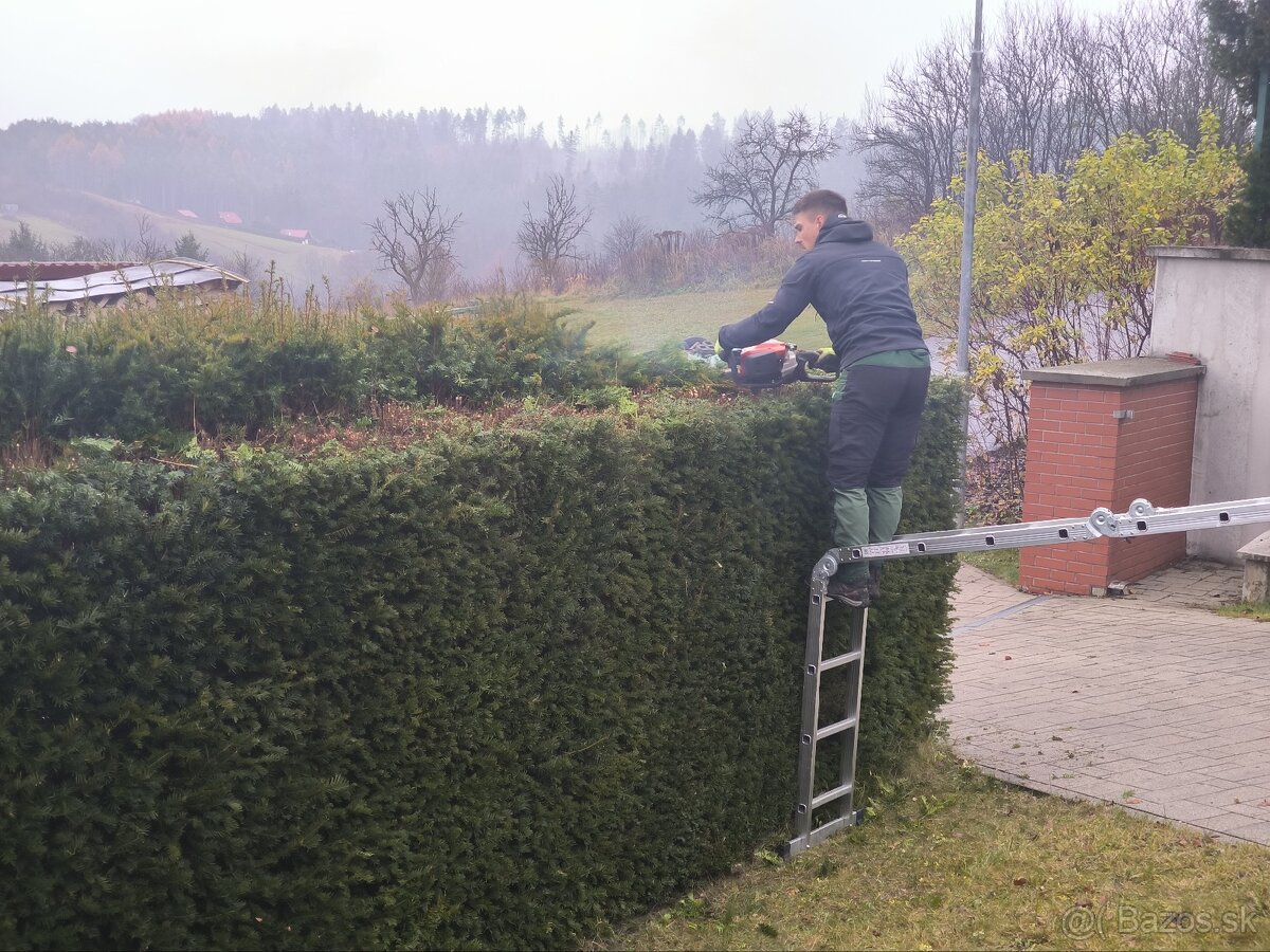 Záhrada zelená strecha rizikové rezanie stromov - 6