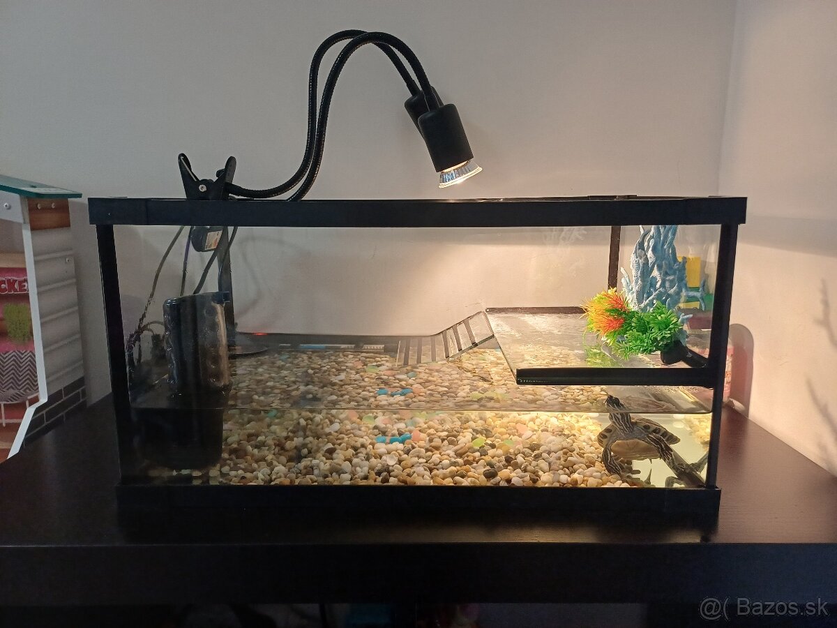 Akvarium s prislusenstvom - 6