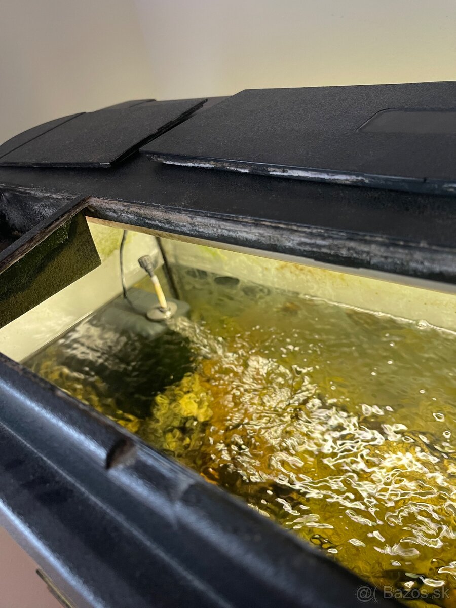 Cichlidy africké+akvarium - 6