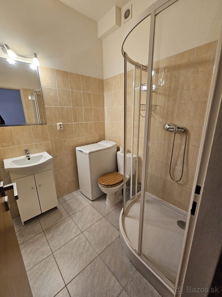 Prenajom 1-izboveho bytu - 6