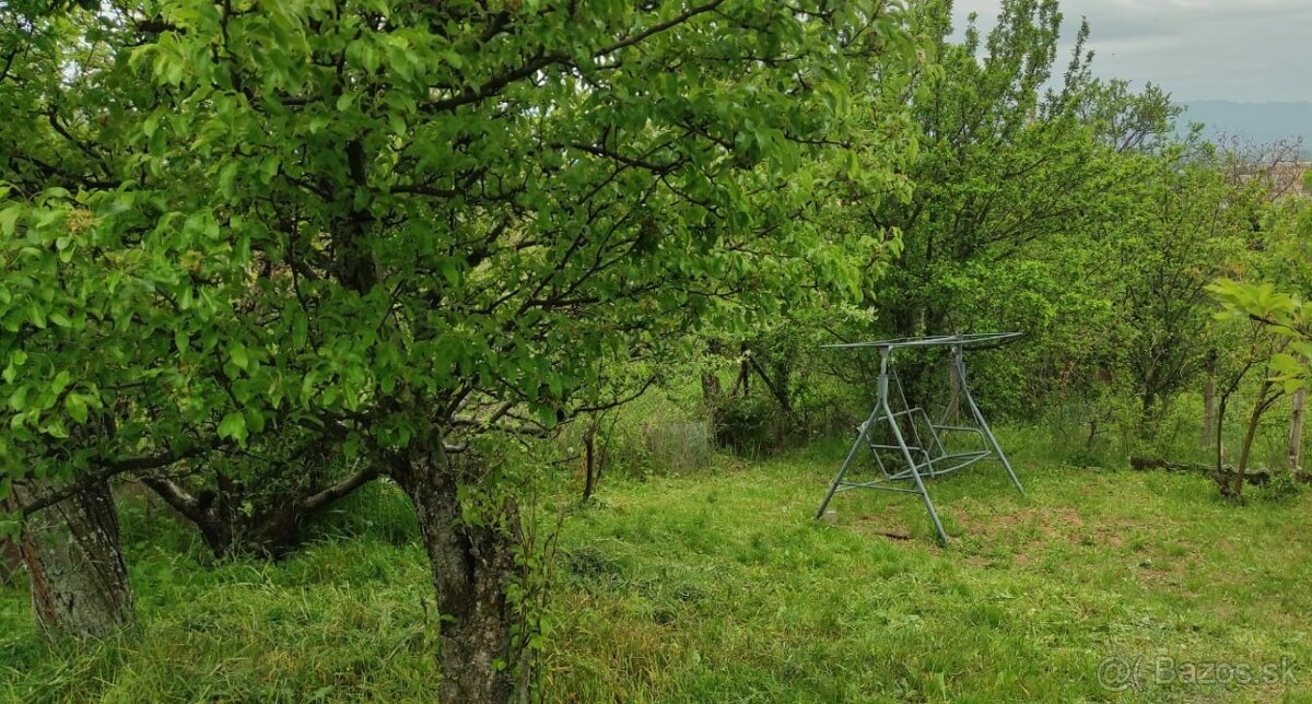 Záhradka v Novom Meste nad Váhom - 6