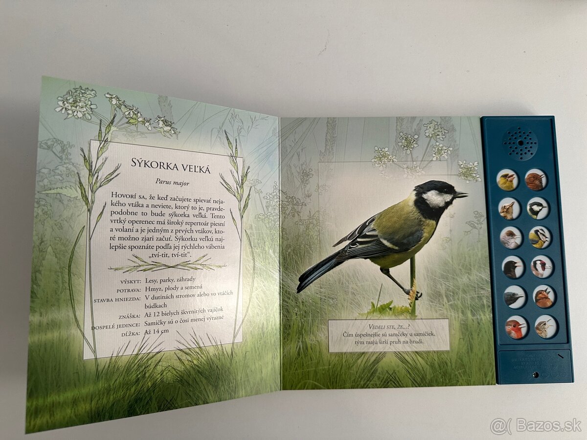 Zvukové knihy Vtáky voľnej prírody - 6