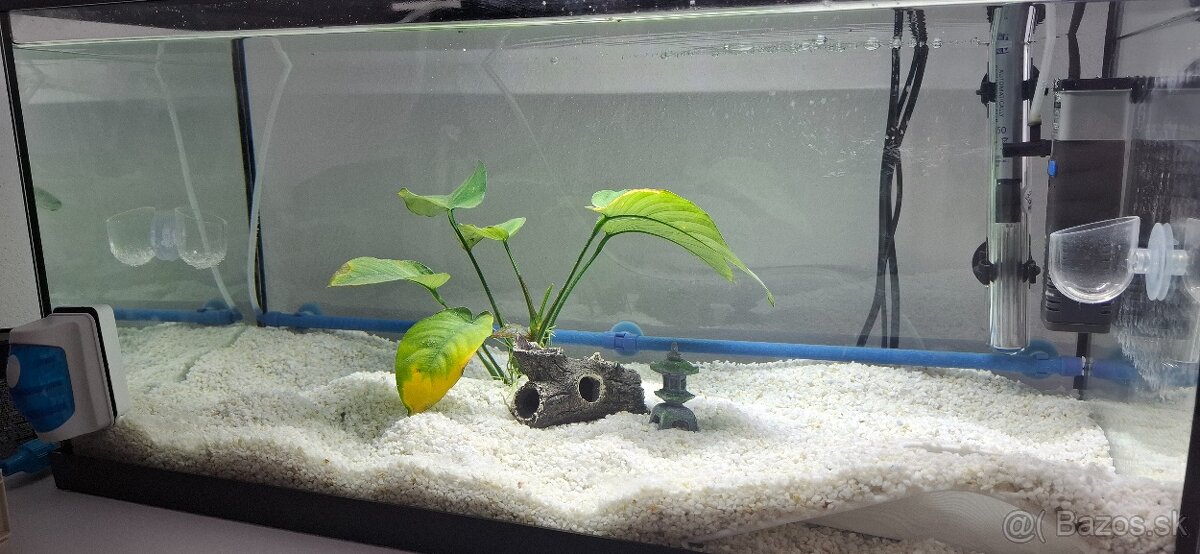 Predám akvarijný set - 6
