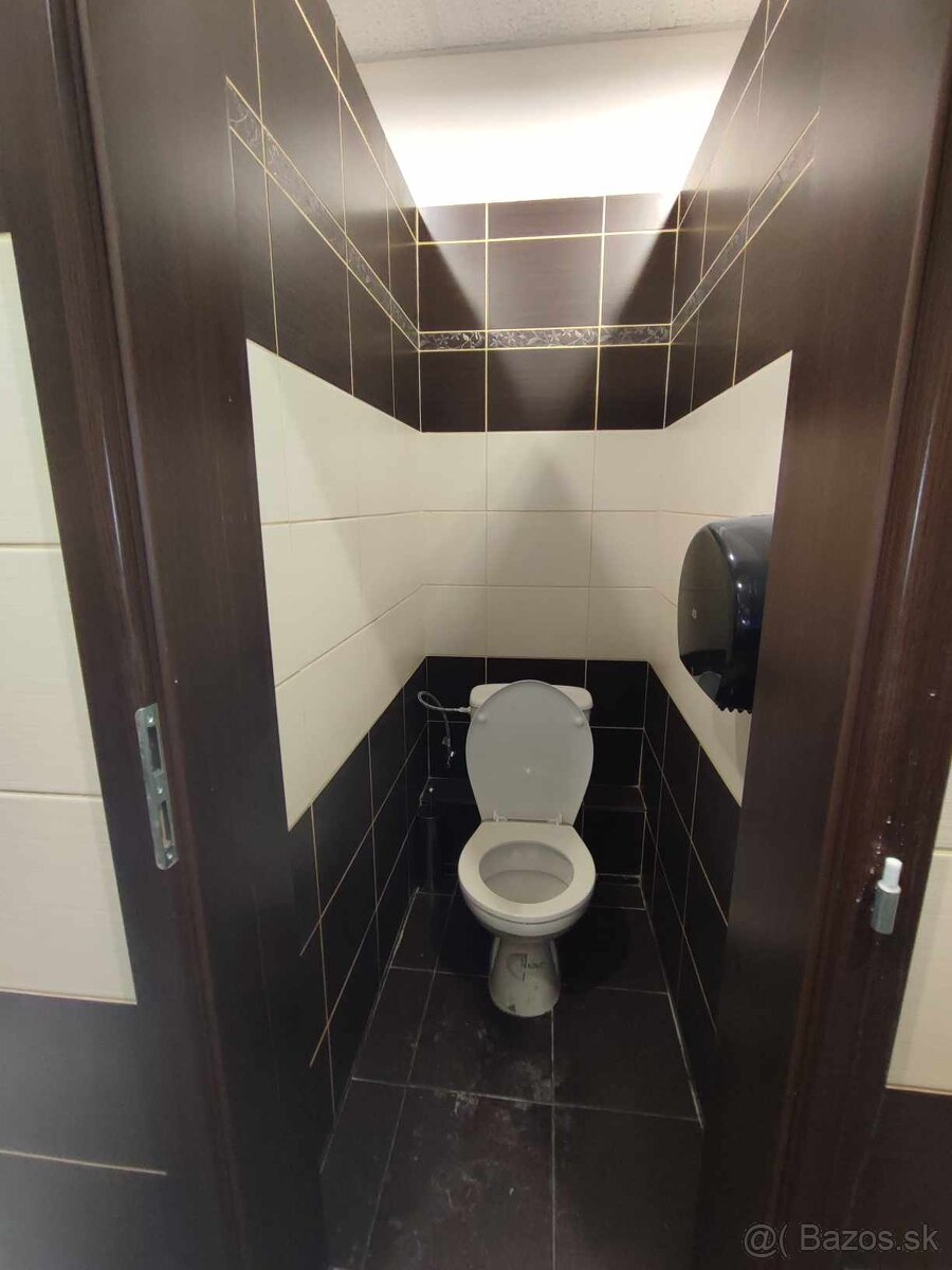 Na prenájom komerčné priestory Levice, 350m,centrum - 6